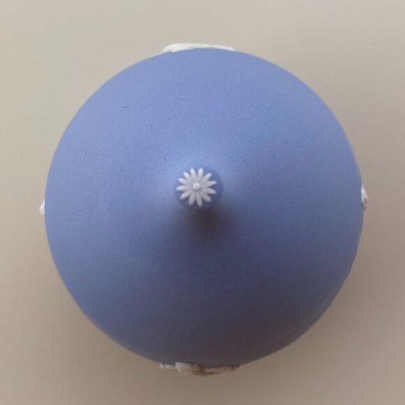 Wedgwood Blue Jasperware Small Lidded Pot with White Motif and Daisy Top - Picture 7 of 12